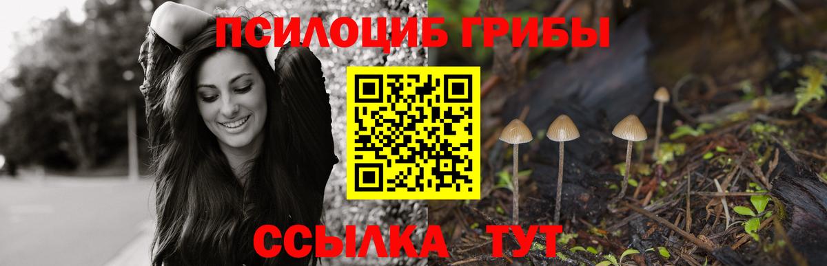 Псилоцибиновые грибы Cubensis  Вход с VPN  Мурманск 